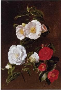 unknow artist Floral, beautiful classical still life of flowers 028